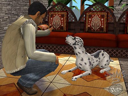 sims2 animaux et compagnie