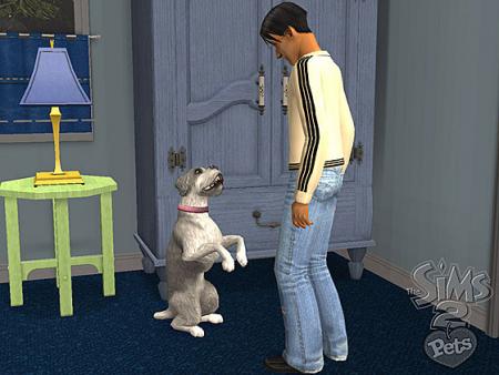 chien